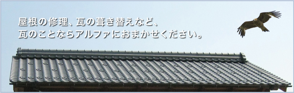 ̏CA̕ւȂǁÂƂȂAt@ɂ܂B